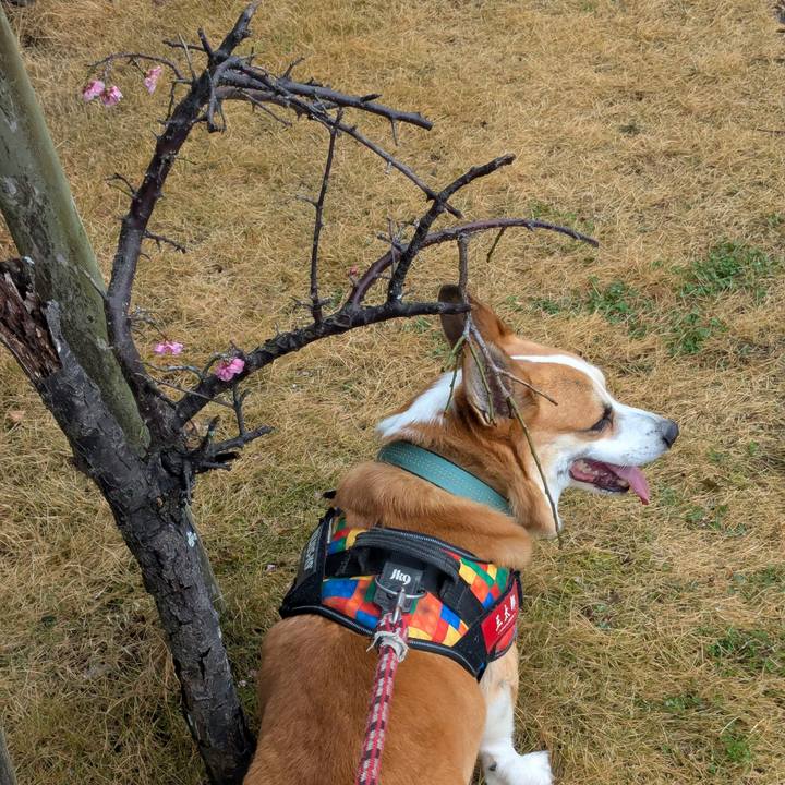 7d0fbdab bab1 4aa4 99f2 5d4c1eca83a3 1742381403890