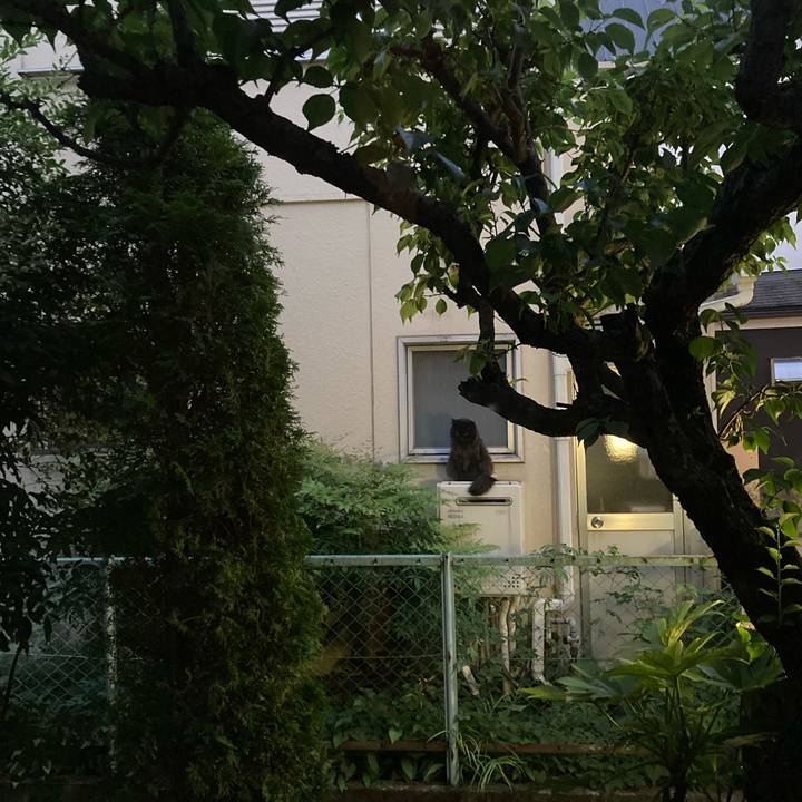 7d0fc240 e8c1 41a9 be80 08acd69b20c1 1657148328345