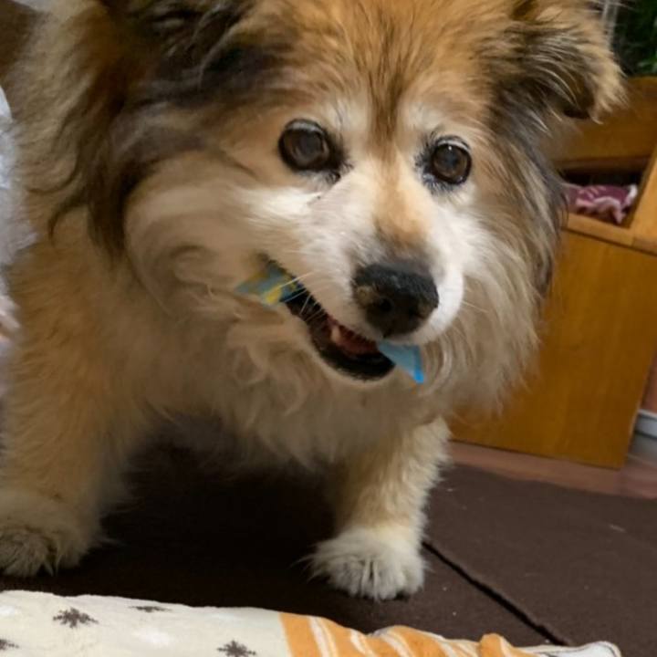 7d1029d4 a1e8 434f aa50 655fcf864b6e 1586218327865