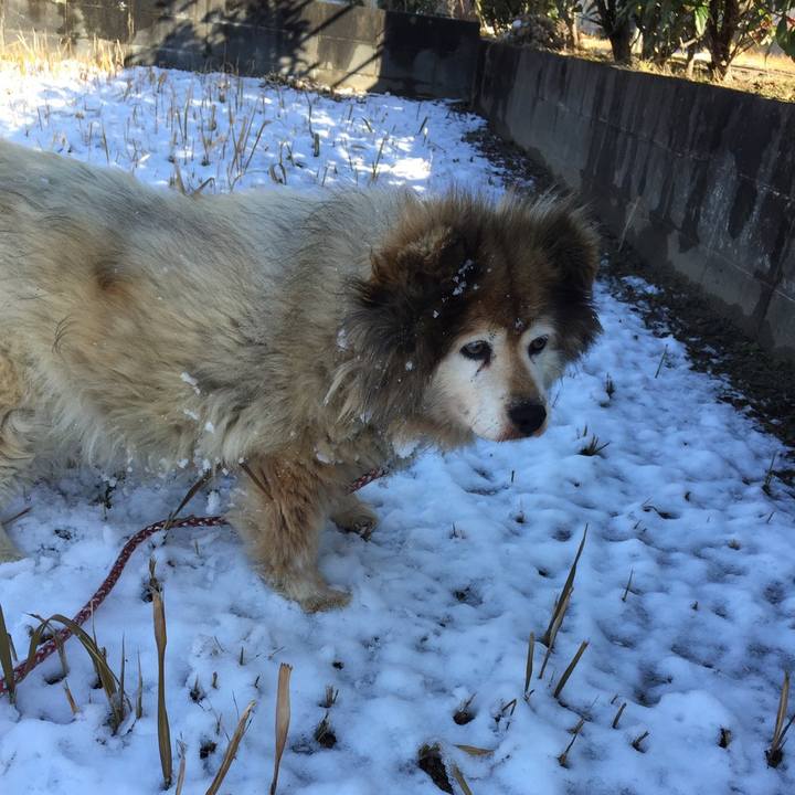 7d106132 aedc 4b89 8f22 b63b32a5ee7b 1647080332064