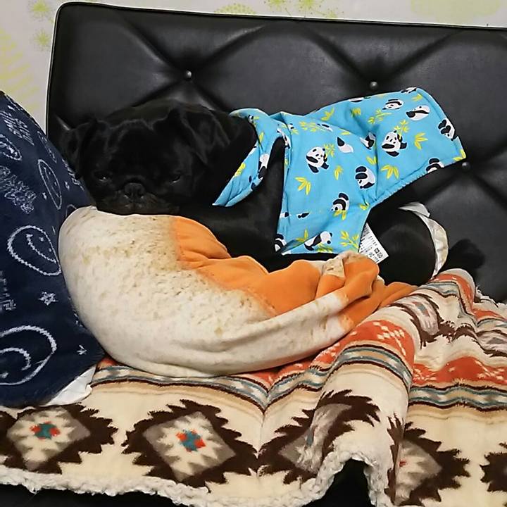 7d107eb1 7a81 46c7 ad5f f91ed61463dd 1547136880420