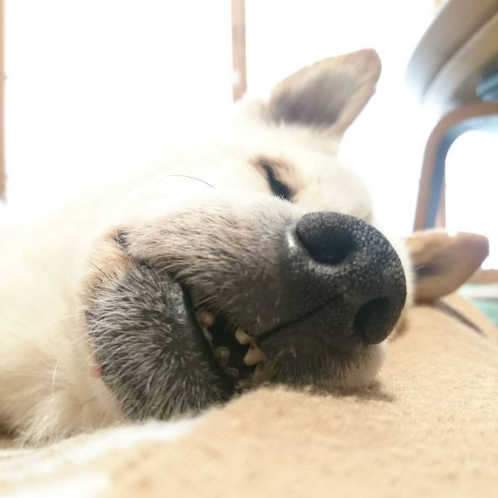 7d109927 acc7 458a 8b1d 2dfd58a68918 1531031756449