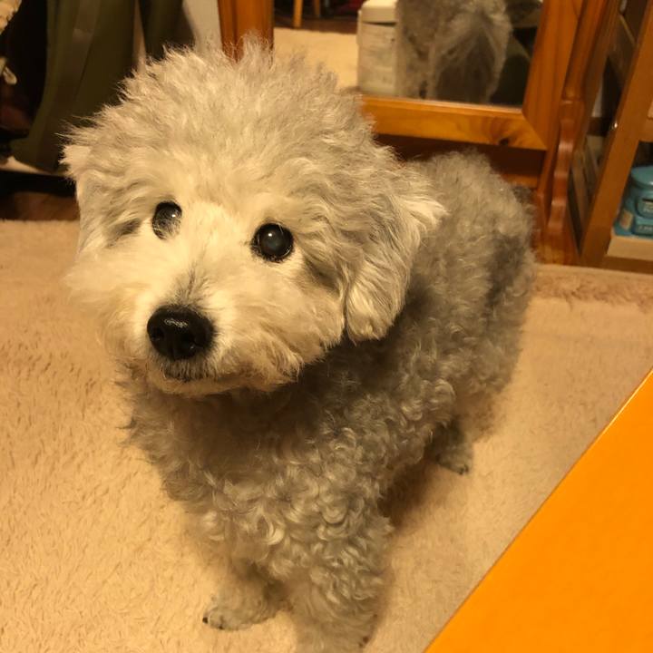 7d10a93b 69cd 485e b72d e3d79c1efc98 1575287463057