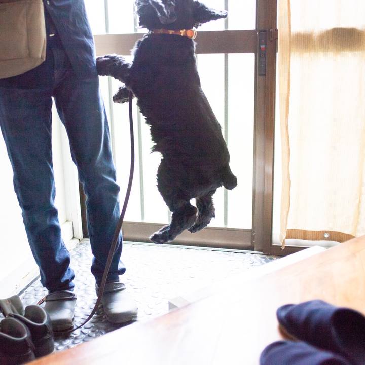 7d10dc16 5506 48ee b53b b4a2e291f91f 1559185040705