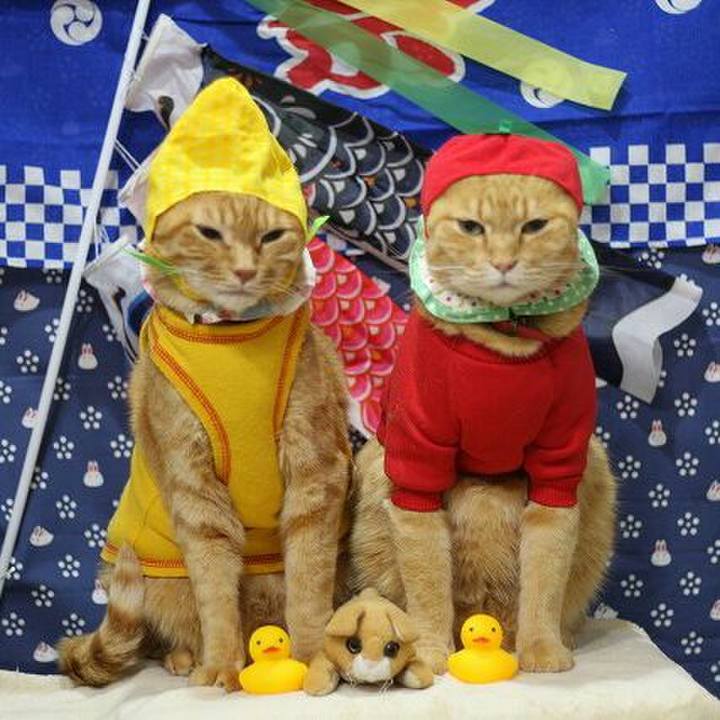 7d10f067 f963 4789 9ff6 64217701f50c 1523838914558