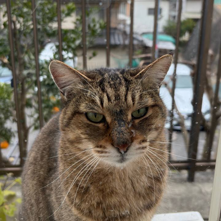 7d110101 843e 4d0c b084 092771a7f818 1767744155977