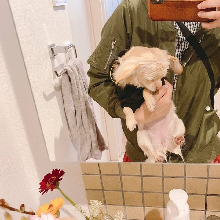 7d11012f c18e 441d a04b 6867bca51a11 1614581508771