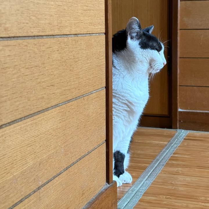 7d111e12 98f8 47c3 8f8c ba6b62ca1c95 1759976954939