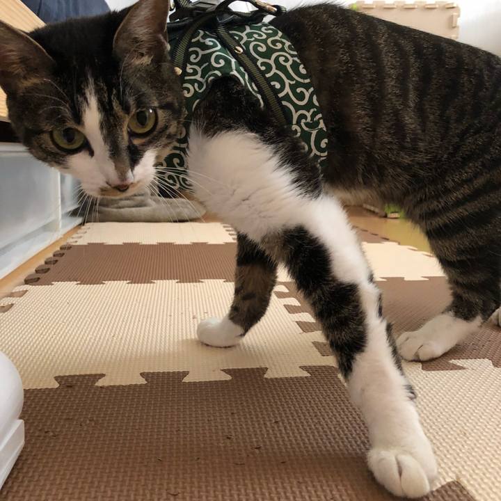 7d119778 ba72 4c71 bc06 147d8cf9e9fb 1526050560944