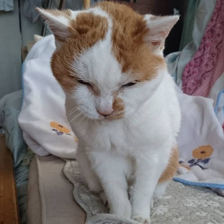 7d11d6da 9fc6 4e02 9de8 cb8fde0a1e79 1556577360886