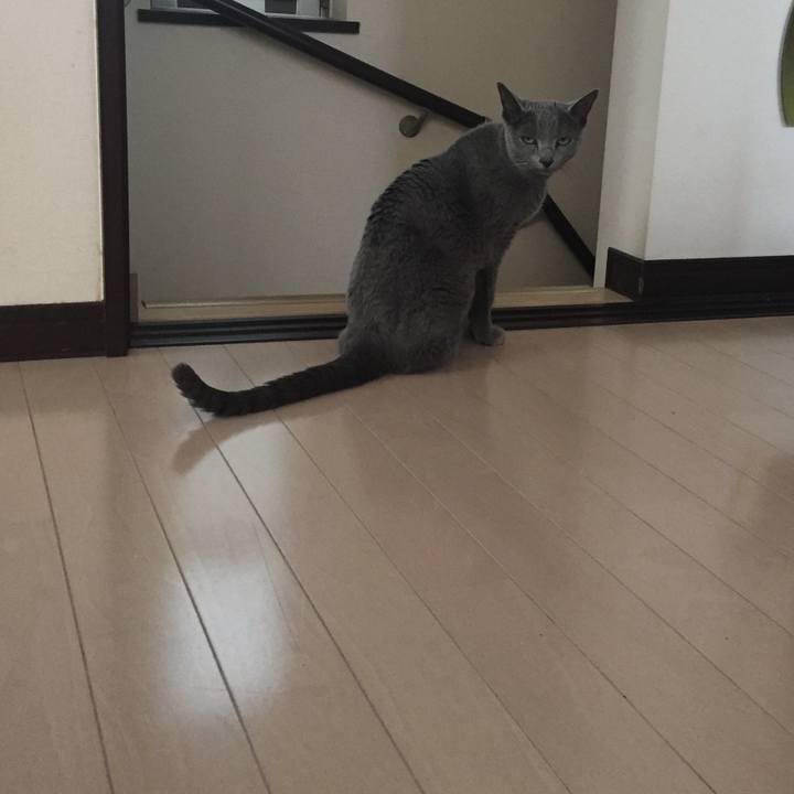 7d11f9bd 6810 45d2 b537 caed263104c6 1554764477606