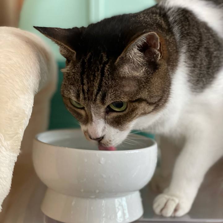 7d120416 a502 42f7 b16a 86acbbc10ad6 1629849940010