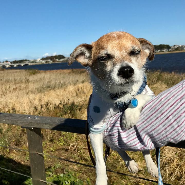 7d120451 389c 4e42 9ccd a498f2b07c20 1605930014160