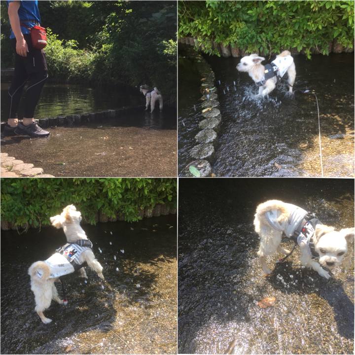 7d12606f 142a 4ebb 9748 e21b811f93b0 1558850946103