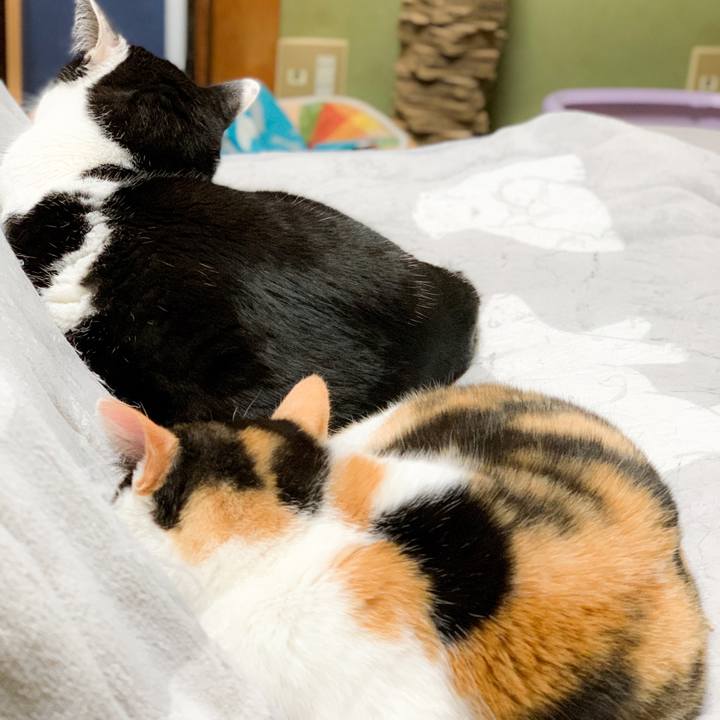 7d127d67 b49b 41fd b525 2b5bea714a3d 1587864834800