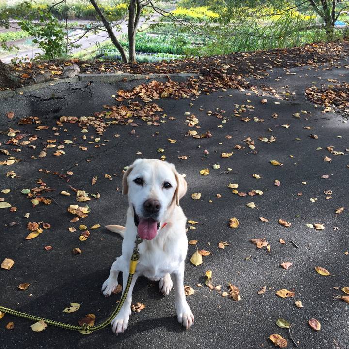 7d1284e9 2143 41a5 931c 18af162b5ccb 1539671953013