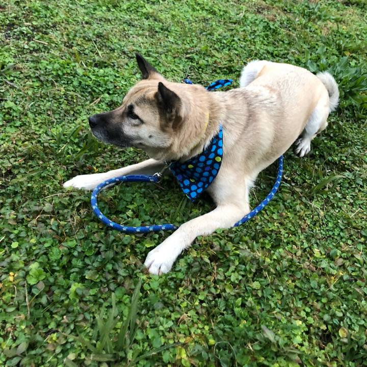 7d129159 539b 4a22 b15e f91d41407609 1579006159288