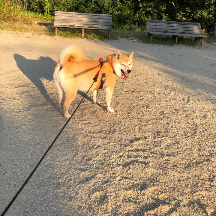 7d12965e 8e27 45ff 86f0 d6005aa6bd6f 1597661486354