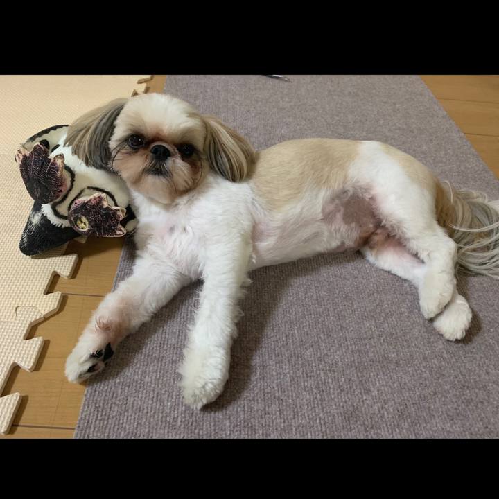 7d12a225 eef8 4cf6 9324 fec6097ace4b 1623669853536