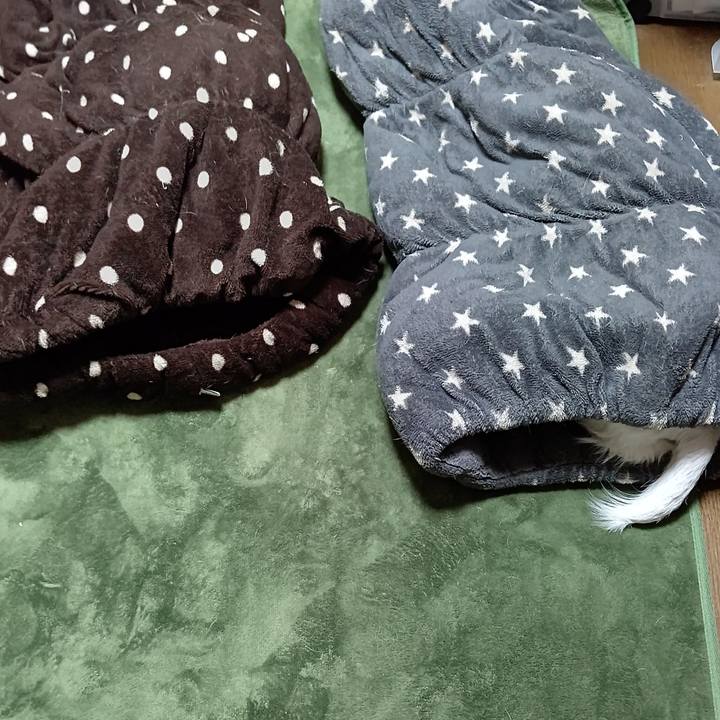 7d12a485 99e7 45bb b6da a0b56b5e4540 1642755192617