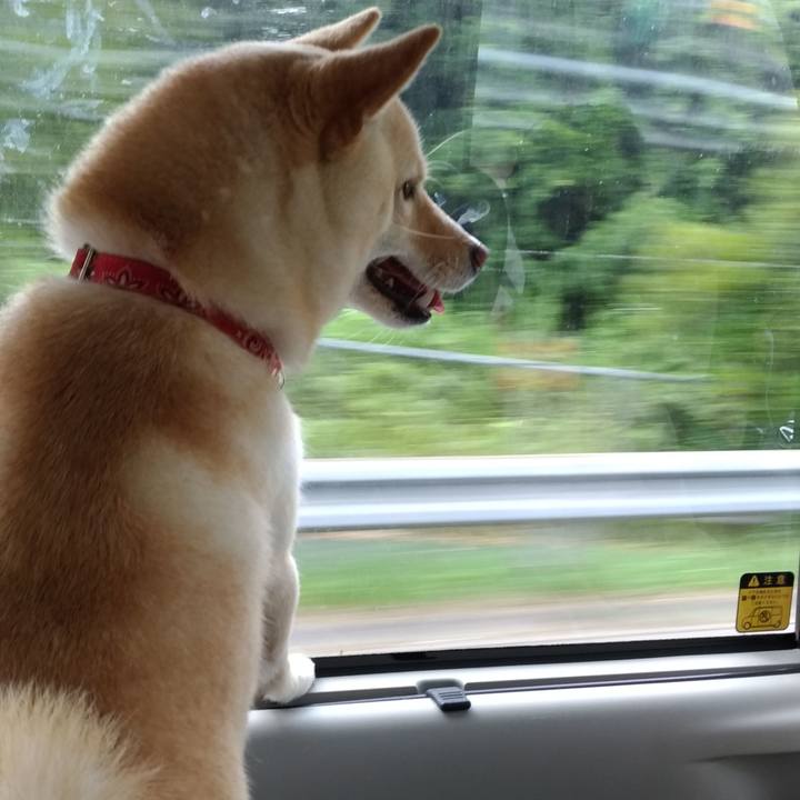 7d12df76 2070 4969 a2d7 b8f165317c11 1531828774146