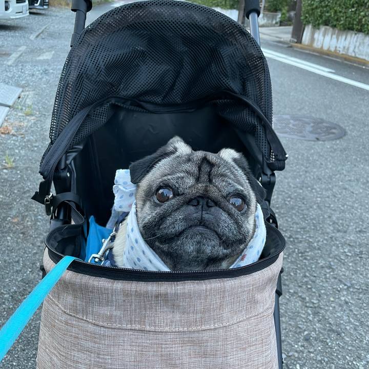 7d13242d 1230 452b bb44 b74a94194264 1627381344274