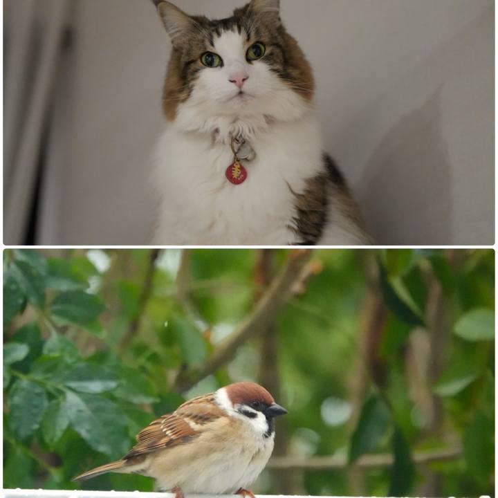 7d134c51 4d27 4376 911a 142cb196f871 1707221950726