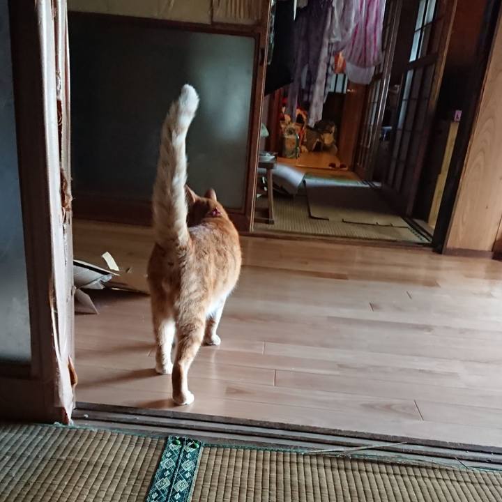 7d13544c aff2 421f 8056 770f9afd7a29 1598171640632