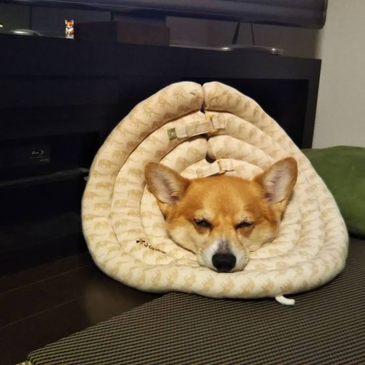 7d1376f1 fc74 4630 ba8e 5058e42c358c 1633412325580