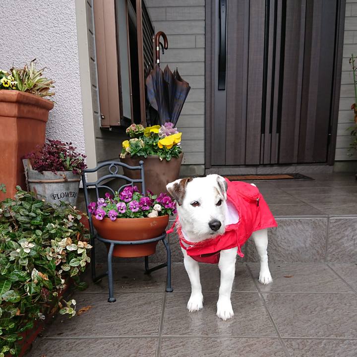 7d138bf1 aa7f 48cb b000 5381f74bd119 1520562544793