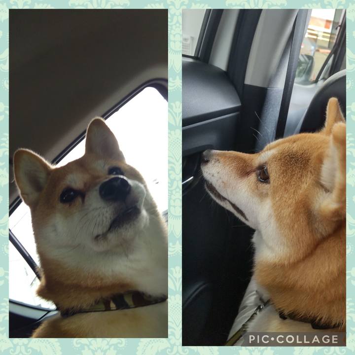 7d13a98a 1d17 4582 b5cc d7e636974c10 1728364504031