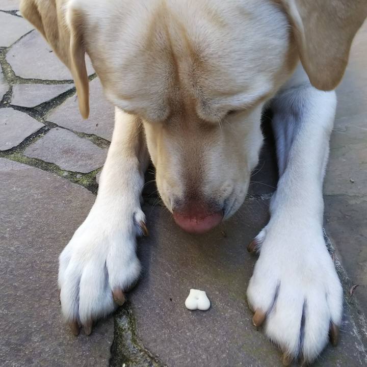 7d13ab72 3e72 4d7f b9a5 0559e7548f99 1575093278165