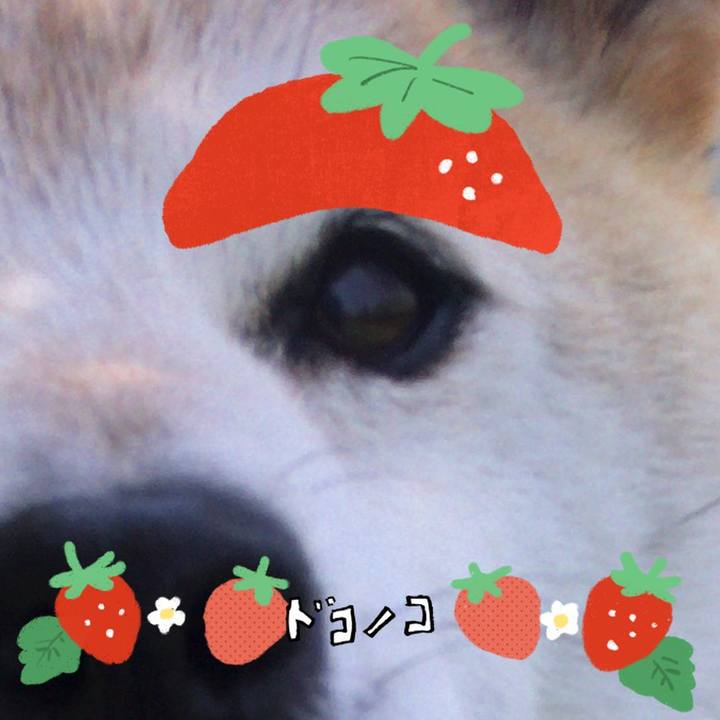 7d13ebf6 b126 436d 85ab ae8def49e13d 1775830852718
