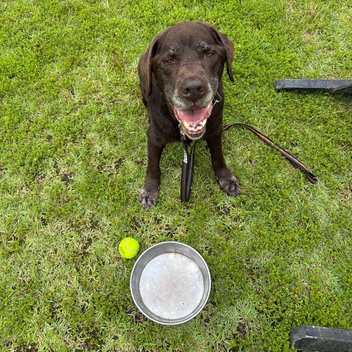 7d13f547 e408 4175 b659 062d83a4582c 1783169893152