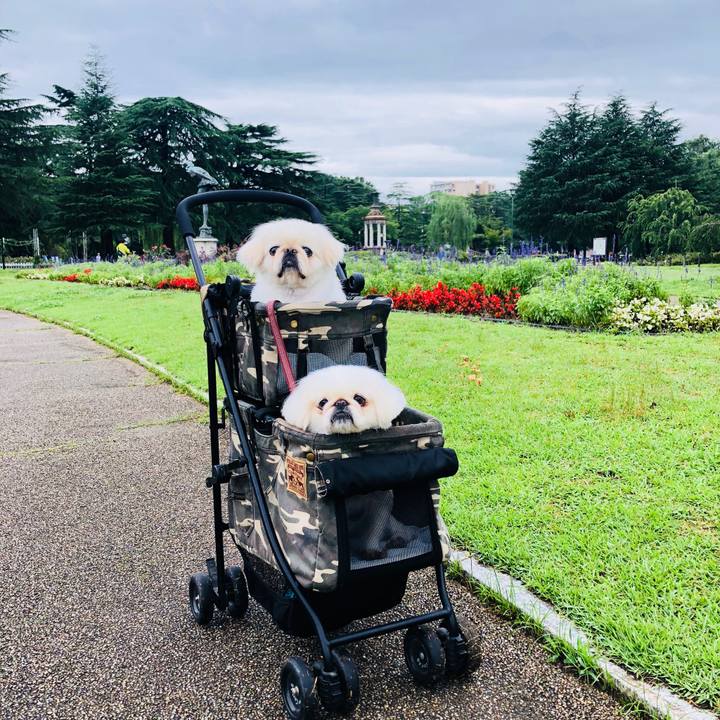 7d14337d b3e9 48be b88b 0a74f9315a6b 1594779908542