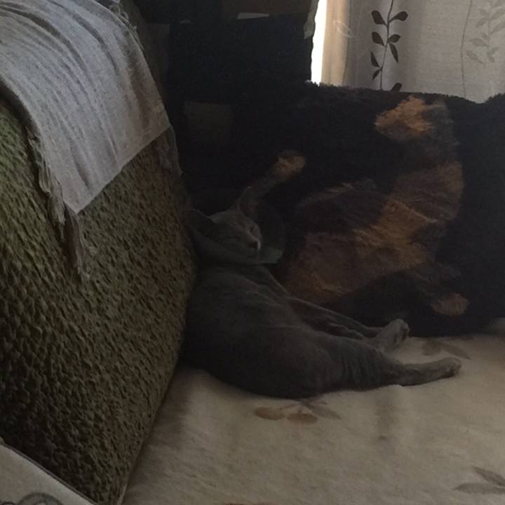 7d1458fb c9b7 413a bfcd 1576e947a740 1512995993135