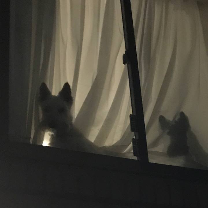 7d146f1d d8f5 41ef 8cf8 a8f7e7f6f2d9 1525369952430