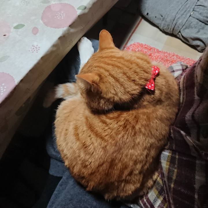 7d147562 e99d 4e96 b14a fc795dd380fc 1577665606516