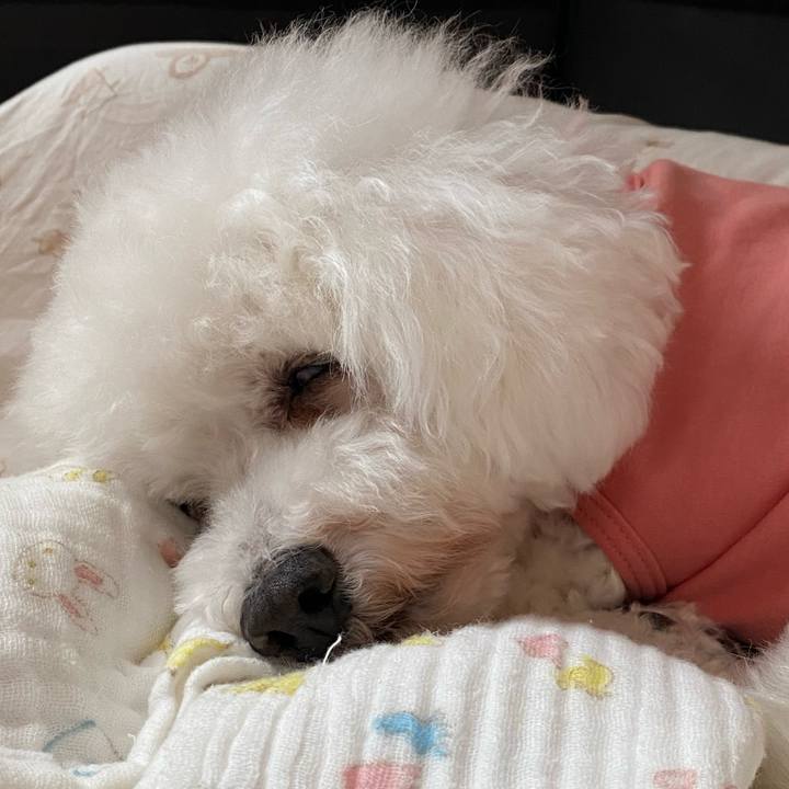 7d1492b4 2d93 4a87 9a6f f71e5779b360 1724197788721