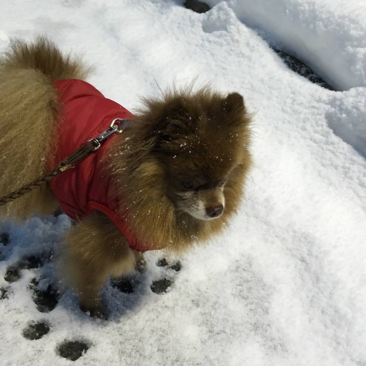 7d14d900 c36a 4fb1 86bd be1100c5df85 1516495057290