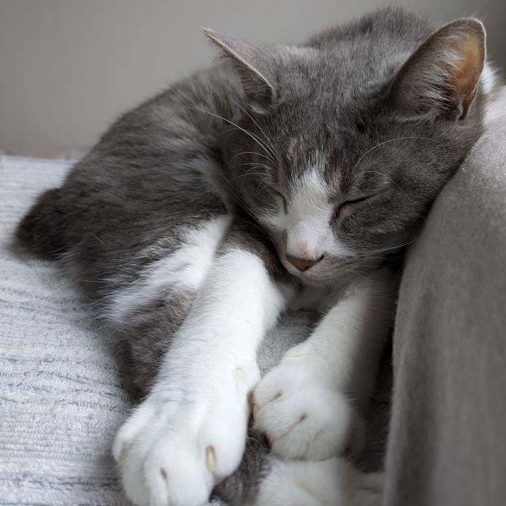 7d14e4f6 6231 4625 94bf 94174c69075a 1729902428456