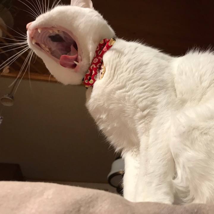 7d14f384 9393 413c 845b 9b5a3db92b0a 1547334303037