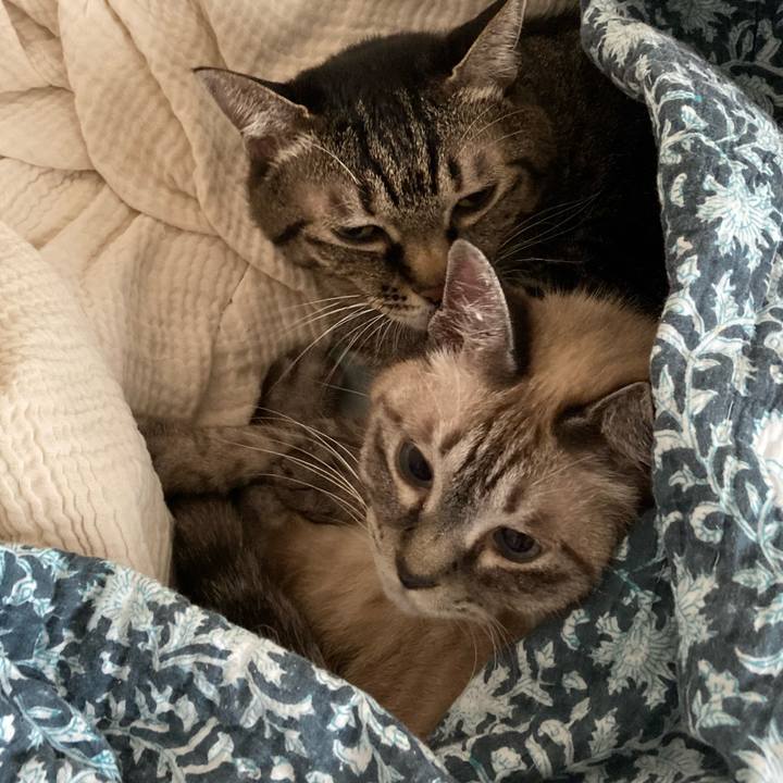 7d14ffe4 cad6 47b6 9bec 8d6f0b929c79 1760511429517