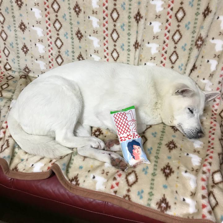 7d150da5 742e 411d 984a 48400adb889b 1514465614199