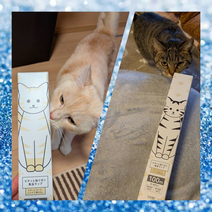 7d15685b 84ba 4094 bffb 57439be75cc2 1736407764109