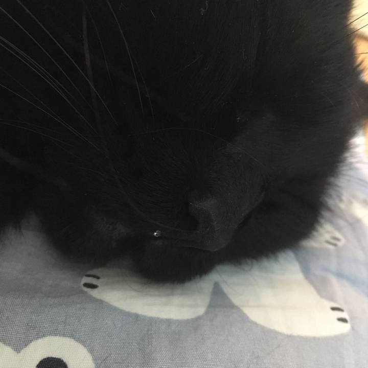 7d159c6c 12e3 4448 a77c 6e1c3b8d6df6 1516871644106