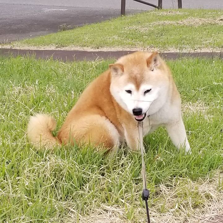 7d15b499 d863 46e3 b1a3 48abd9b505af 1717056327638