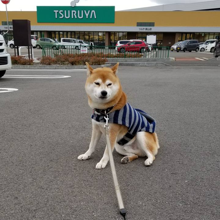 7d15d760 8a70 44ea a5b0 07ab227f4fa7 1510812187063