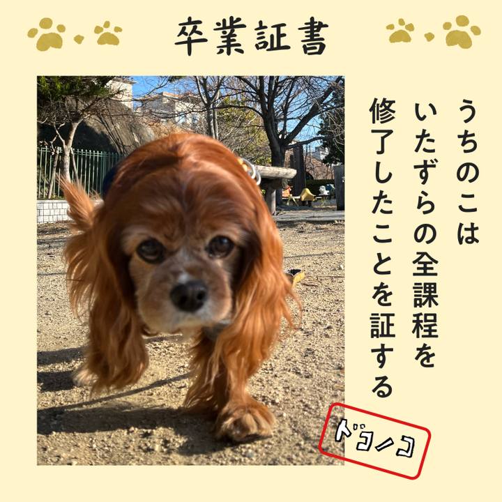 7d16201a f013 4d6f ab22 aa8c4f47727e 1771903965551