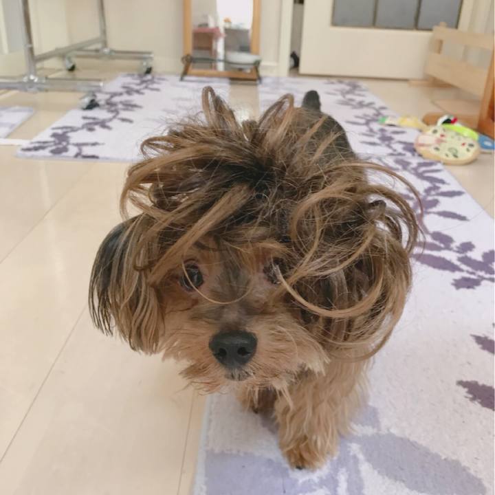 7d16400a ae5c 41d1 a820 137403eb44e2 1534298496158